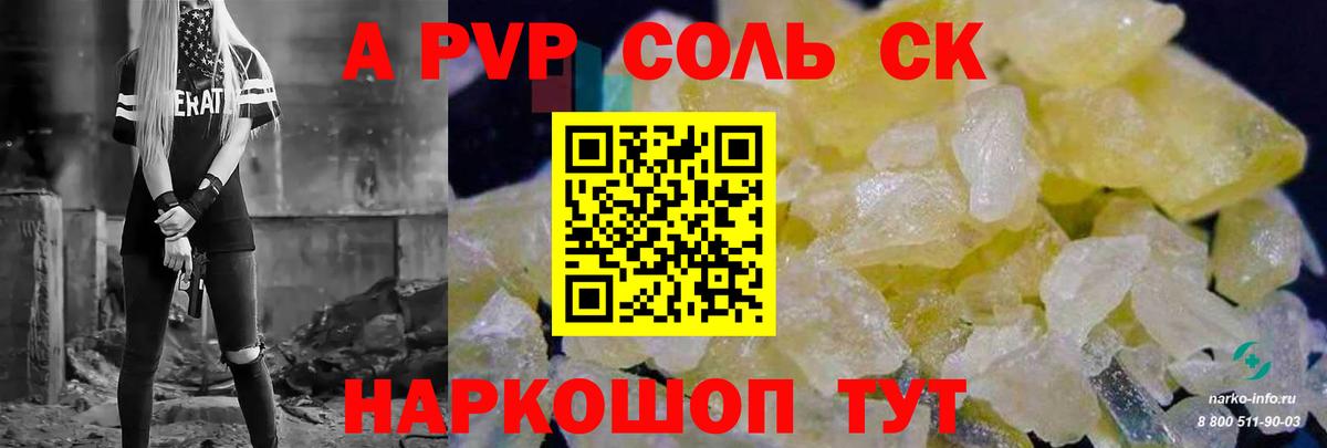 A PVP СК КРИС Курчалой