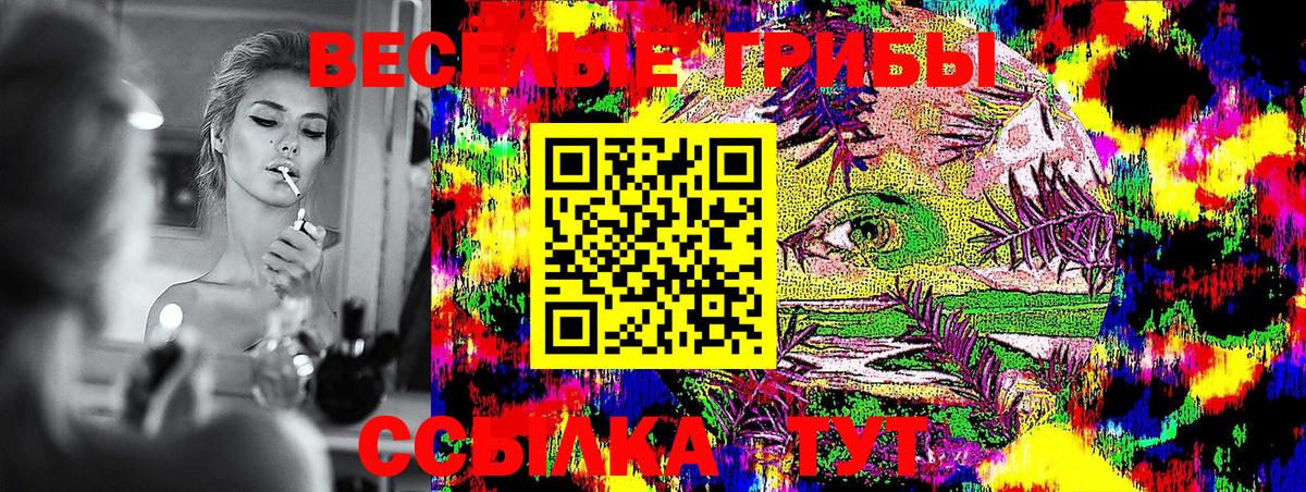 Галлюциногенные грибы Magic Shrooms  Вход с VPN  Курчалой 
